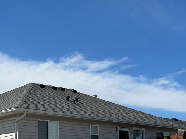 Best Roof Moss and Algae Removal  in Central City, PA